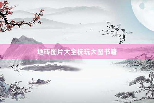地砖图片大全抚玩大图书籍