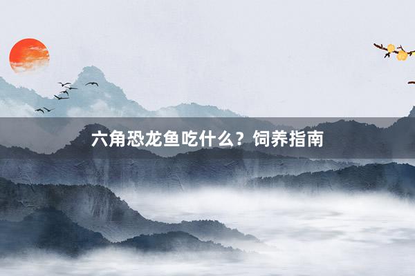 六角恐龙鱼吃什么？饲养指南