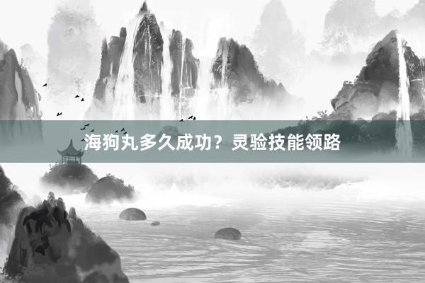 海狗丸多久成功？灵验技能领路